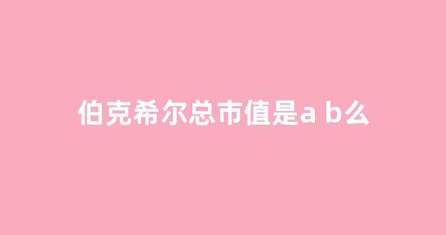 伯克希尔总市值是a b么(伯克希尔持仓市值)_https://www.qgjzrcxxzxpt.com_上期所_第1张